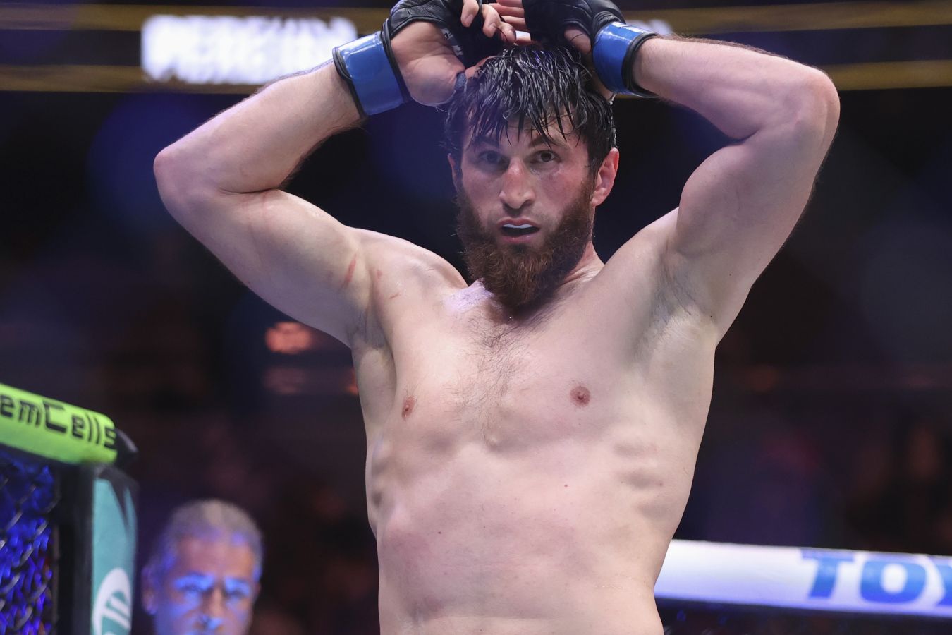 UFC Fight Night 282 в Абу-Даби: Анкалаев встретится с Гуськовым в главном бою вечера