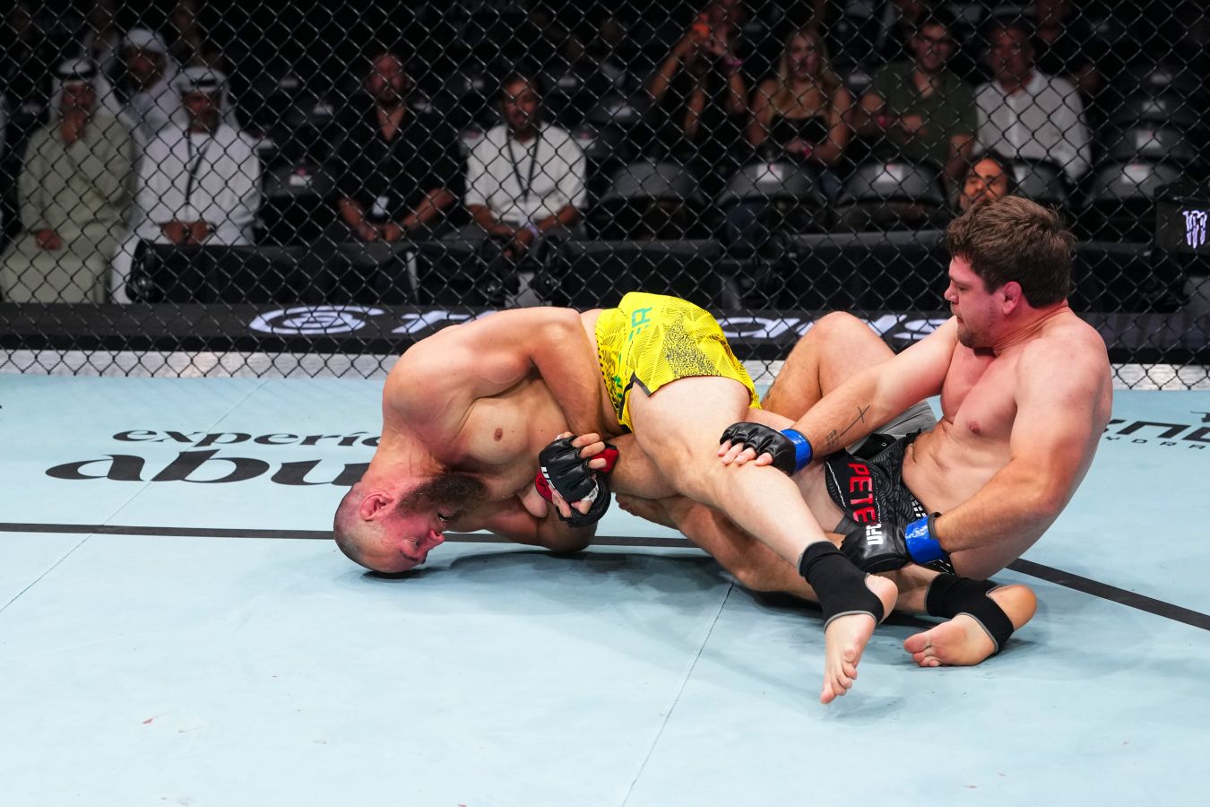 Вальтер Уокер победил Томаса Петерсена болевым приёмом в первом раунде на UFC Fight Night 282