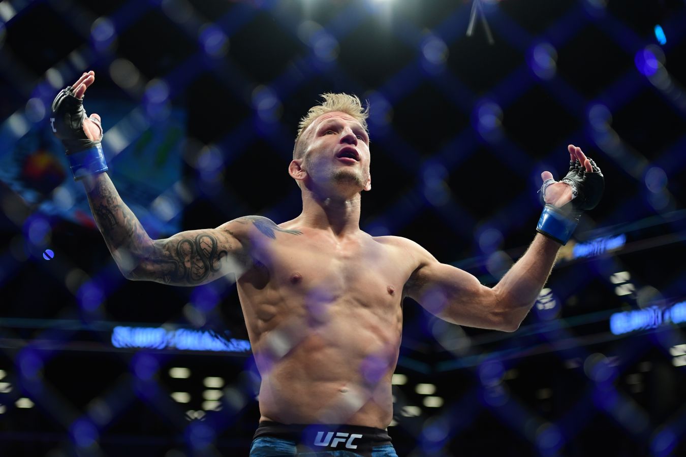 Экс-чемпион UFC предсказал победу Махачева над Гарри