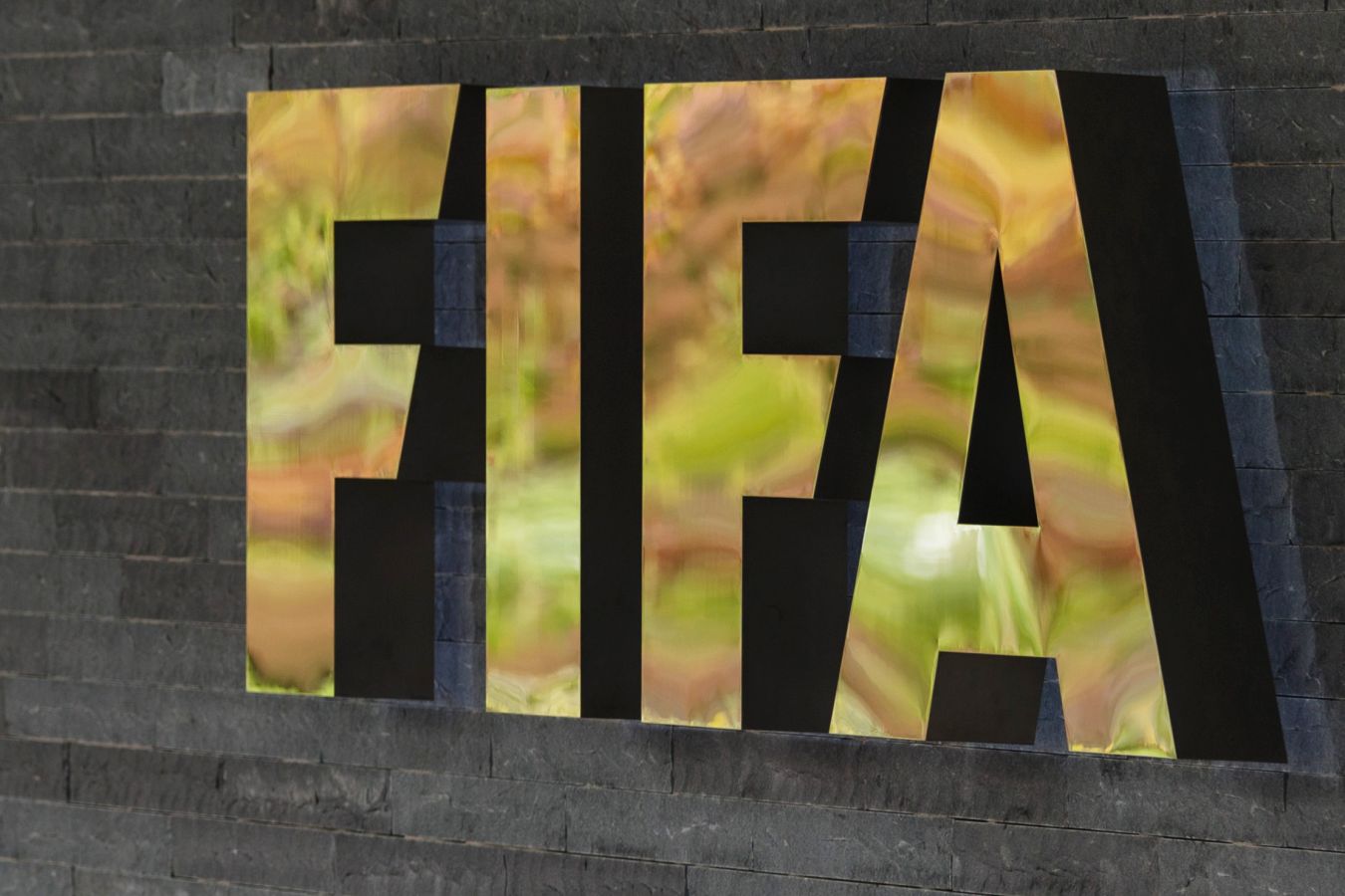 Глава DFB раскритиковал планы ФИФА по продаже прав на чемпионат мира