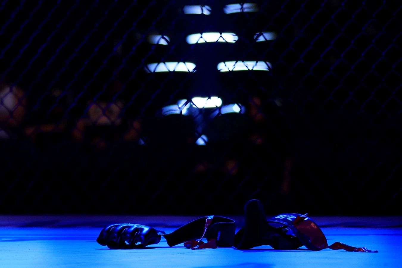 Тарасов считает, что слияние PFL и MVP создаст сильного конкурента UFC