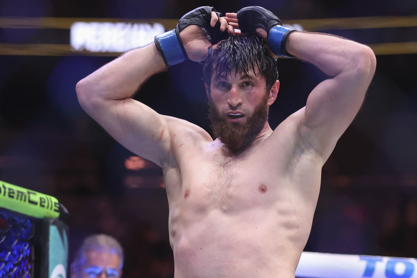 Магомед Анкалаев вызвал Пауло Косту на бой в UFC