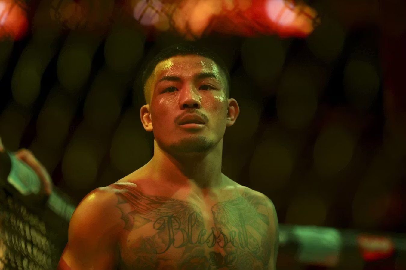 Джошуа Ван и Александр Пантожа проведут реванш на UFC 331