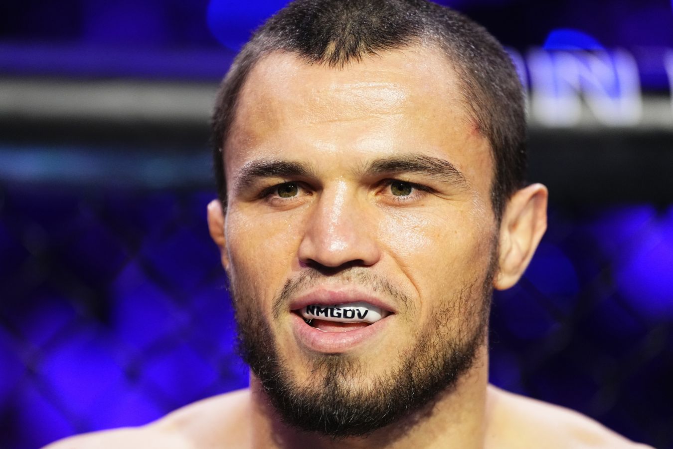 Опубликован постер UFC Fight Night 286 с Нурмагомедовым и Ядонгом