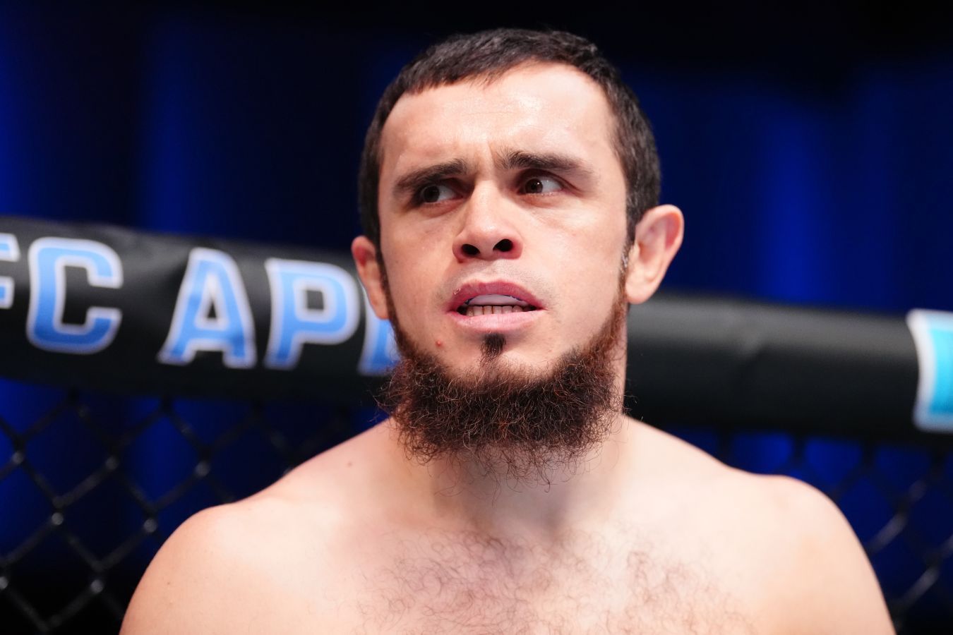 Деметриус Джонсон оценил потенциал Магомеда Зайнукова в UFC