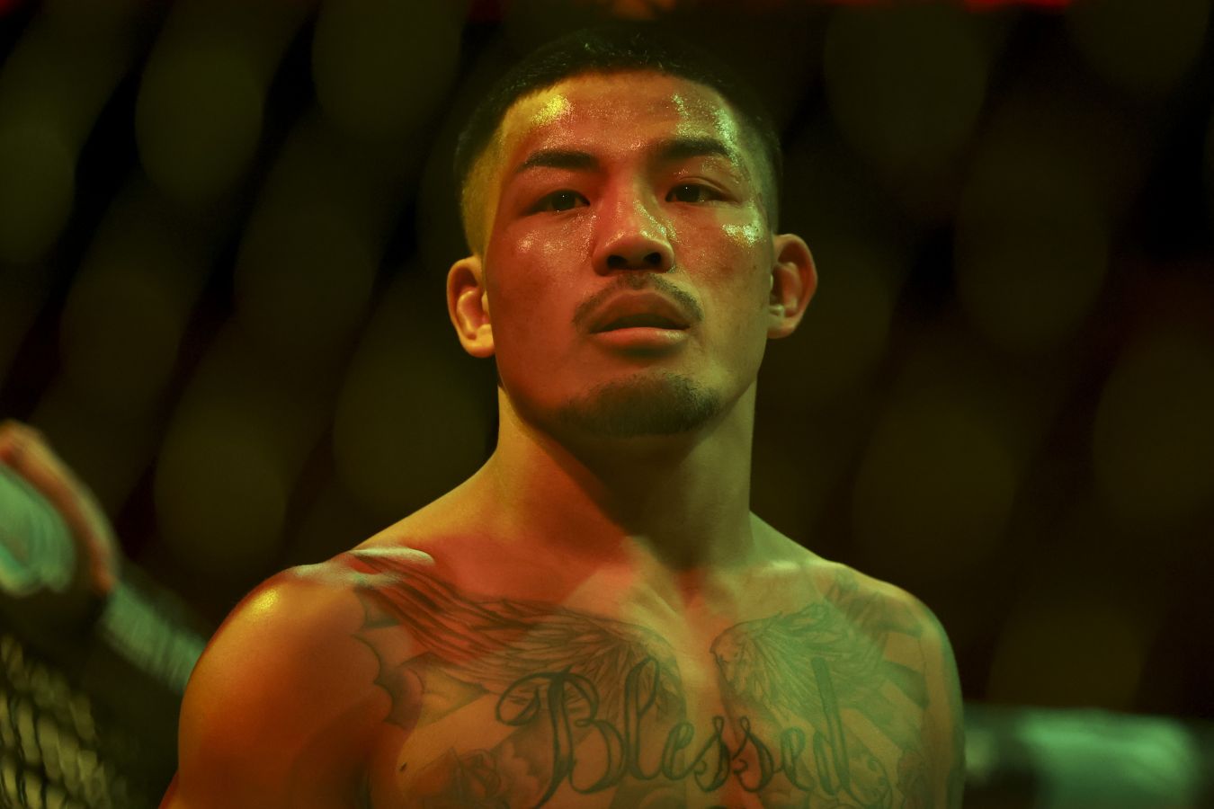 Джошуа Ван уверен в победе над Пантожей в реванше на UFC 331
