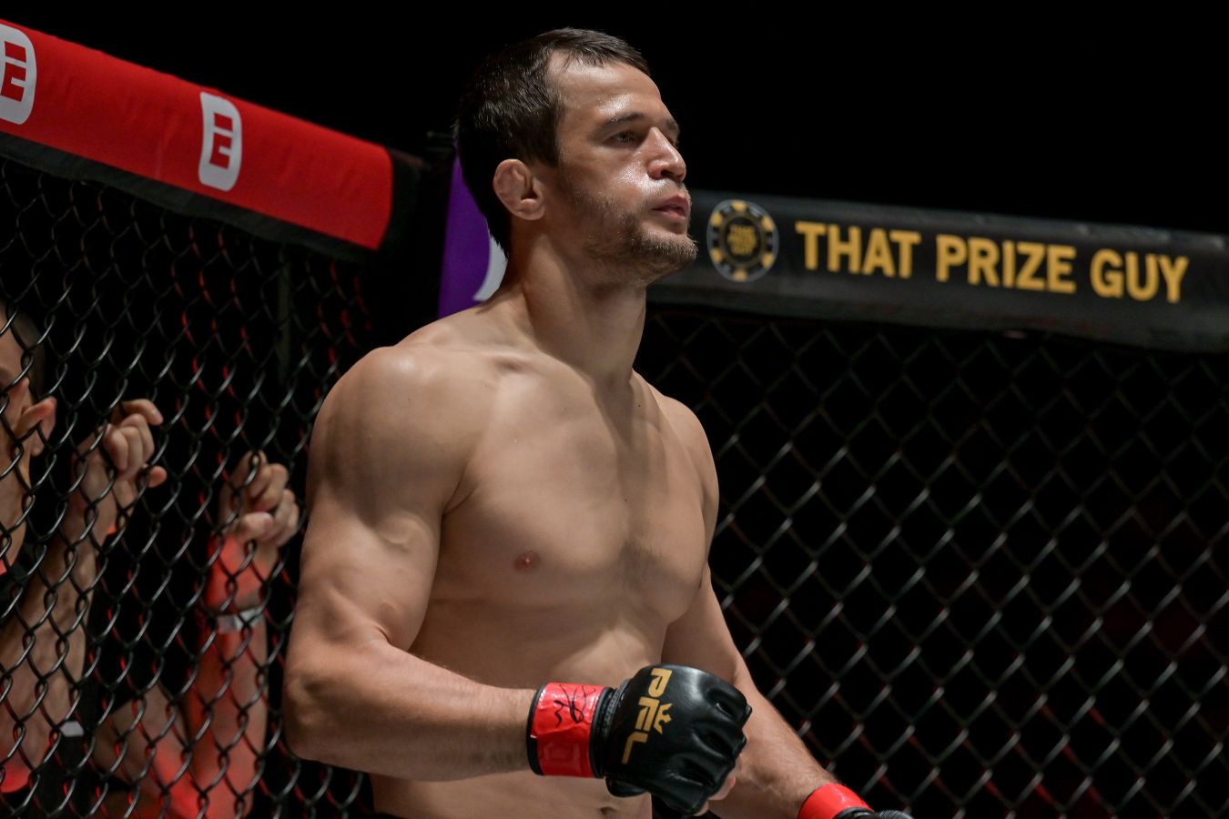 Дана Уайт прокомментировал возможный переход Нурмагомедова в UFC