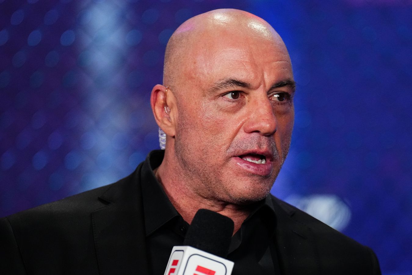 Джо Роган восхитился балансом Пэдди Пимблетта в UFC