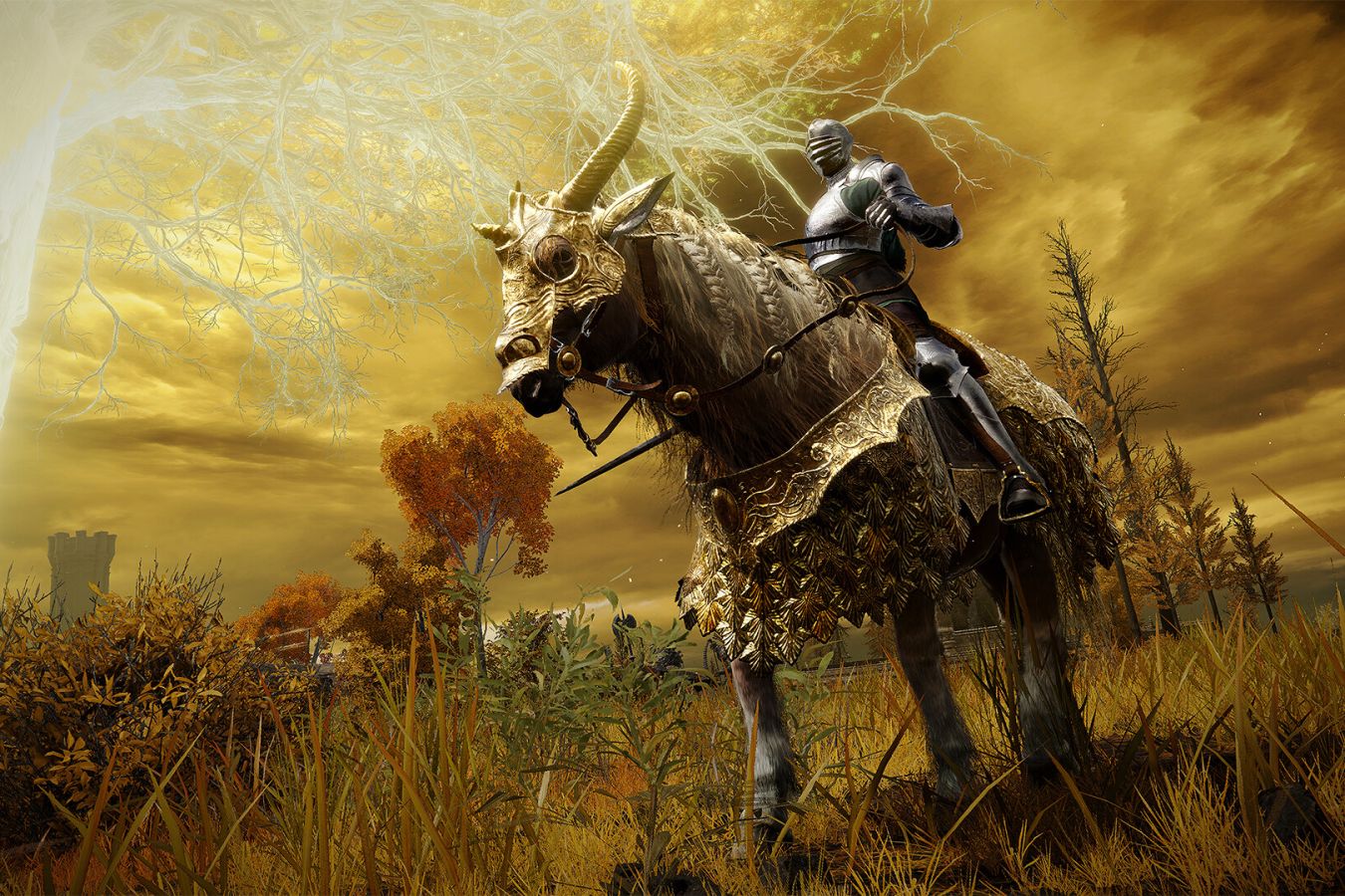 Игроки Elden Ring раскритиковали платный набор Tarnished Pack