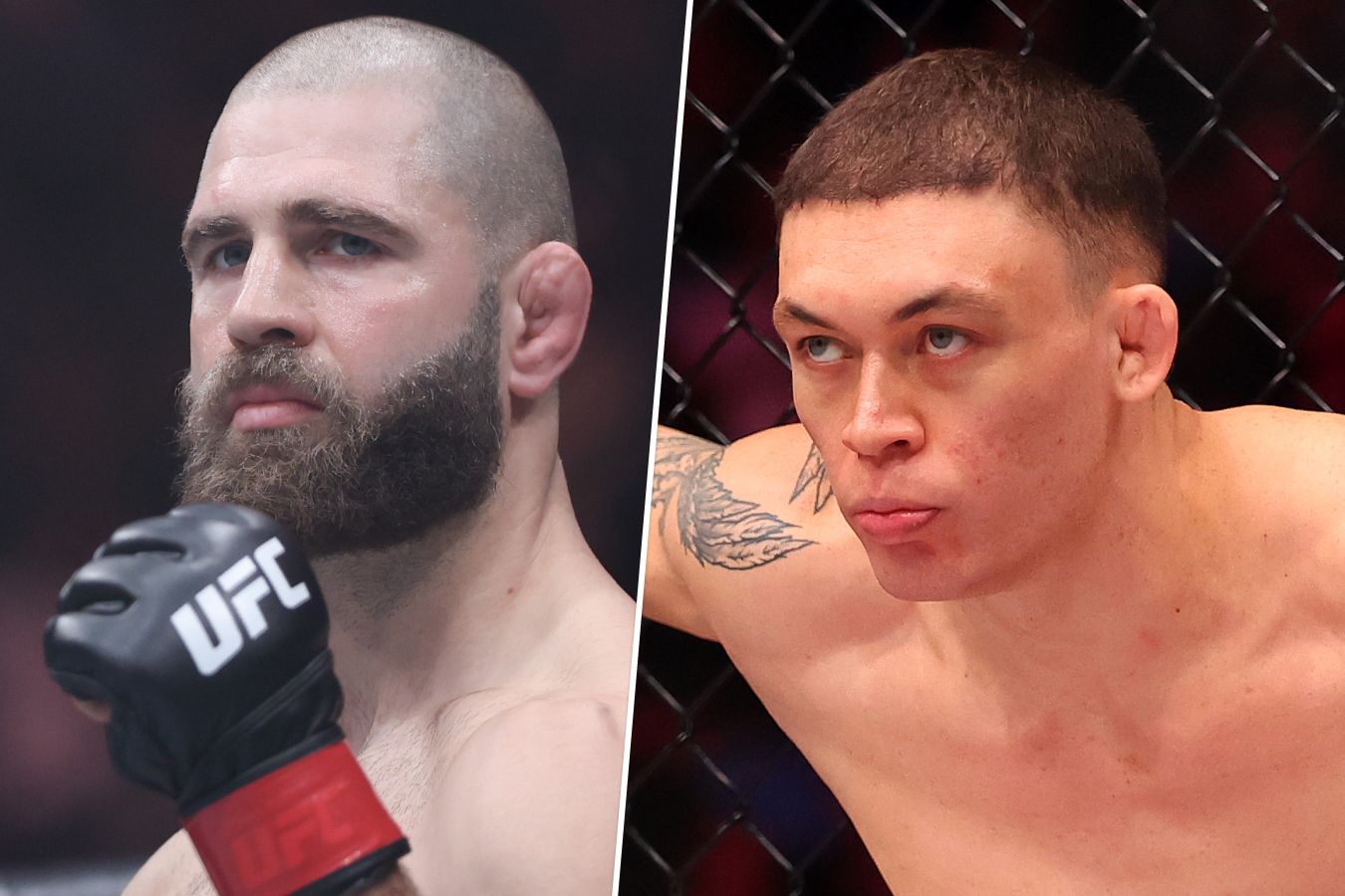Иржи Прохазка встретится с Навахо Стирлингом на UFC Fight Night 294