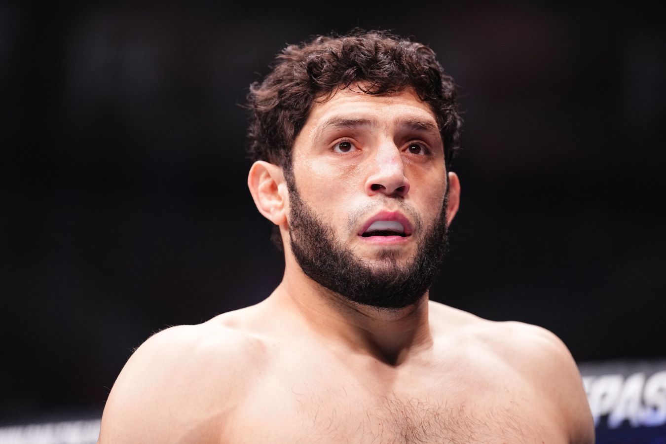 Икрам Алискеров встретится с Джаредом Каннонье на турнире UFC в ноябре