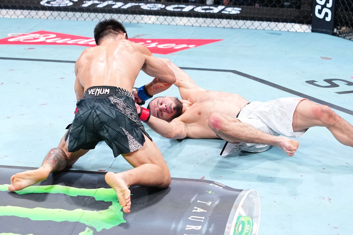 Боец UFC объяснил прыжок брата Хабиба в клетку после боя