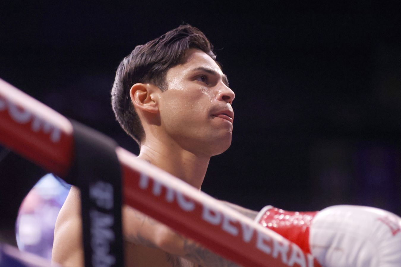 Райан Гарсия хочет бой с Теофимо Лопесом за объединение титулов