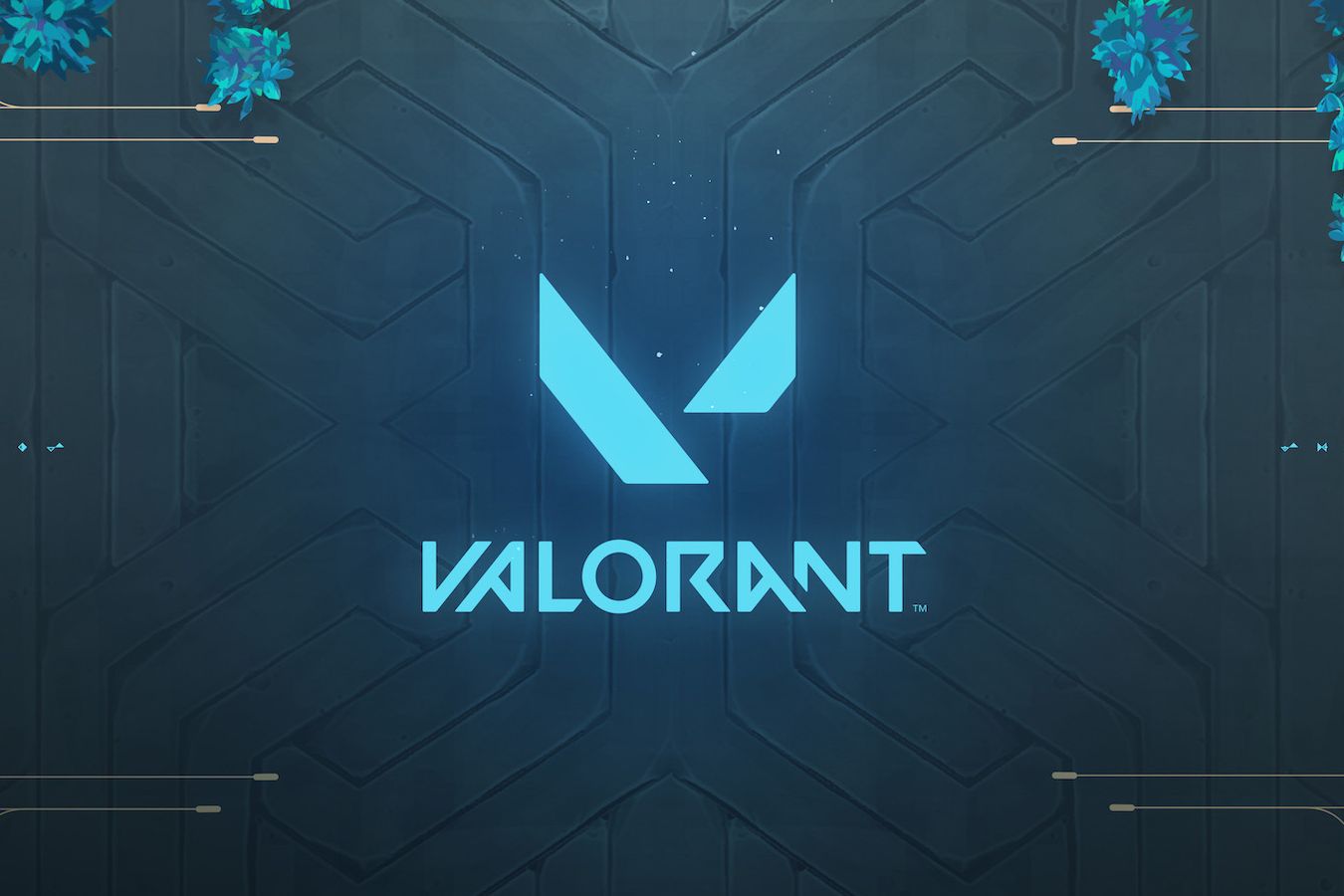 Riot Games представила характеристики новой винтовки Warden для Valorant