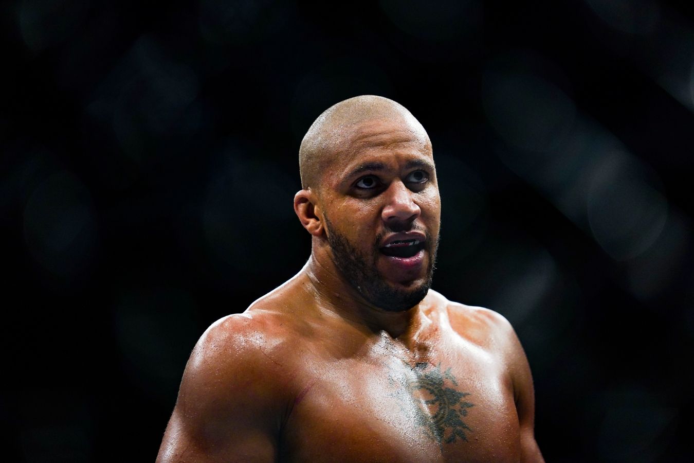 Даниэль Кормье считает, что Сириль Ган должен стать чемпионом UFC в тяжёлом весе