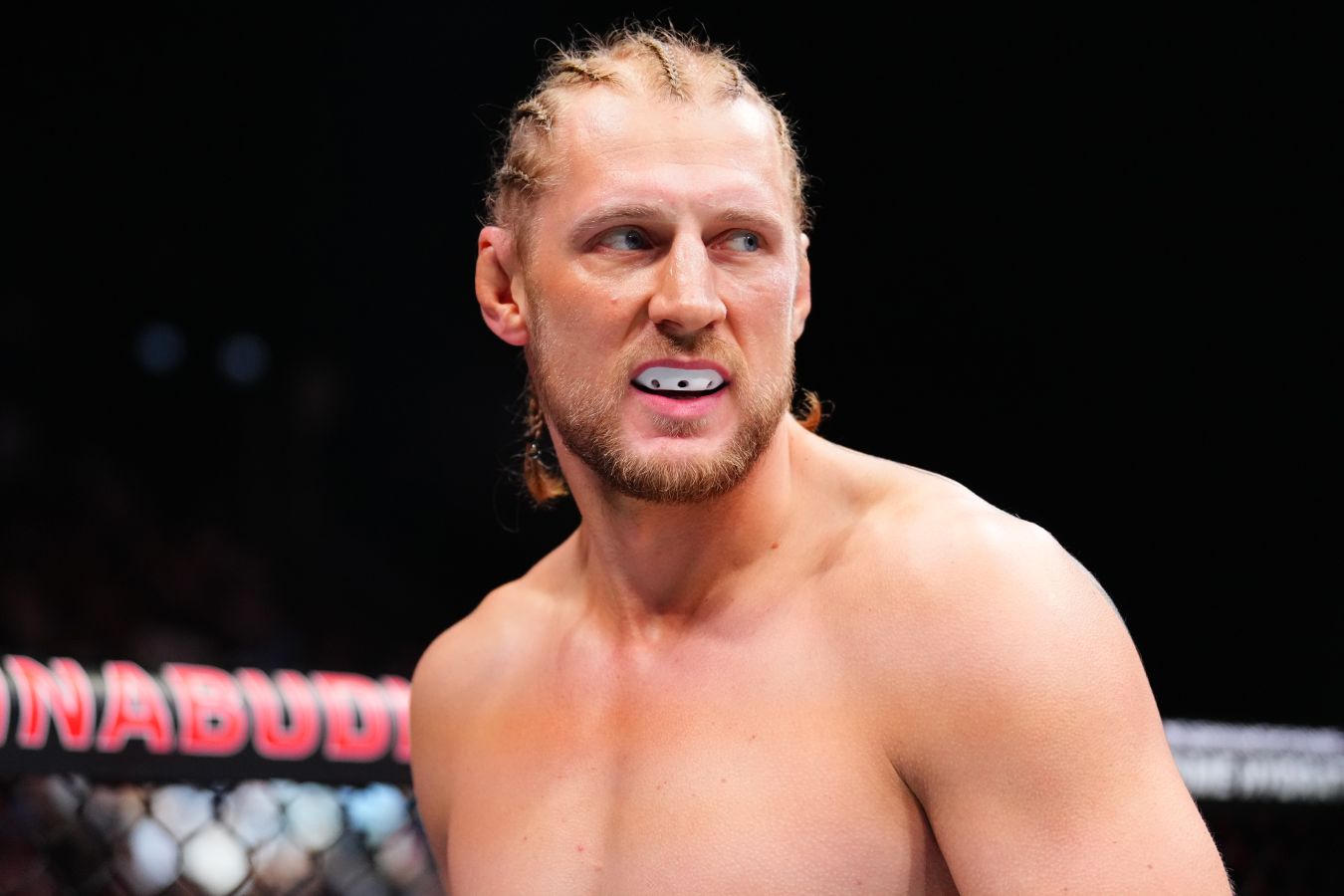 Менеджер Волкова назвал позором бой Гана и Хокита за временный титул UFC